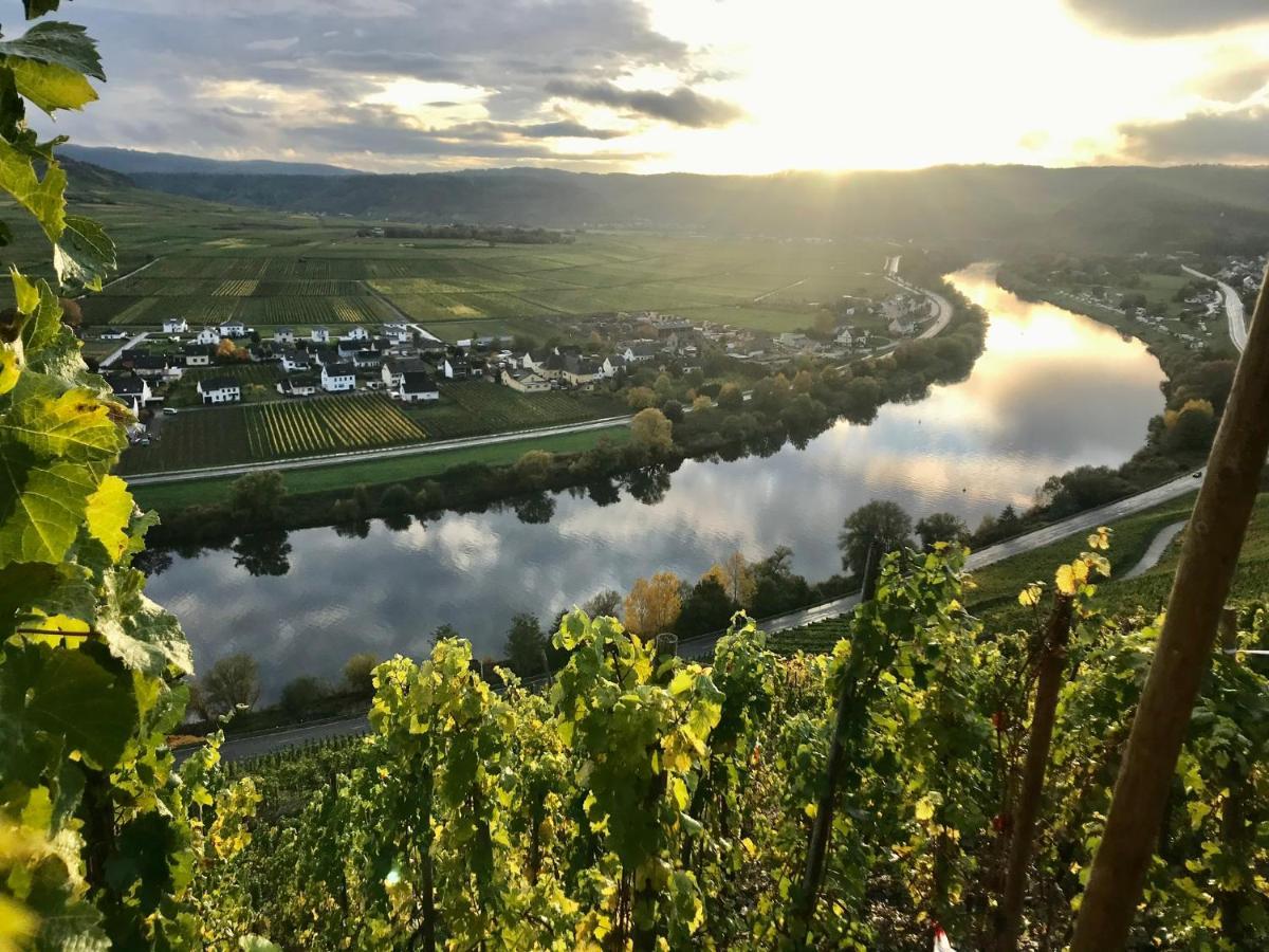Ferienwohnung Weinlofts an der Mosel Köwerich Exterior foto
